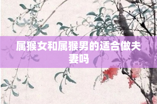 属猴女和属猴男的适合做夫妻吗