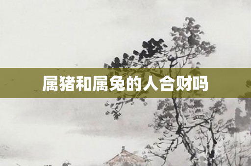 属猪和属兔的人合财吗