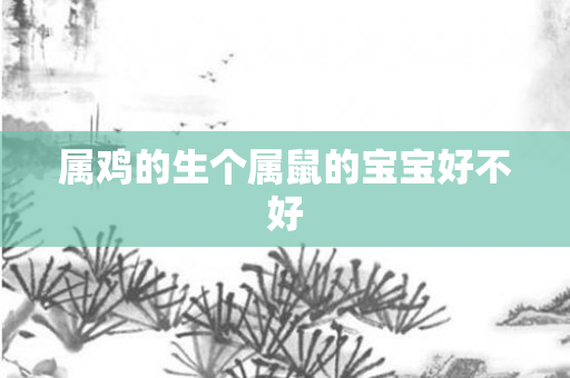 属鸡的生个属鼠的宝宝好不好