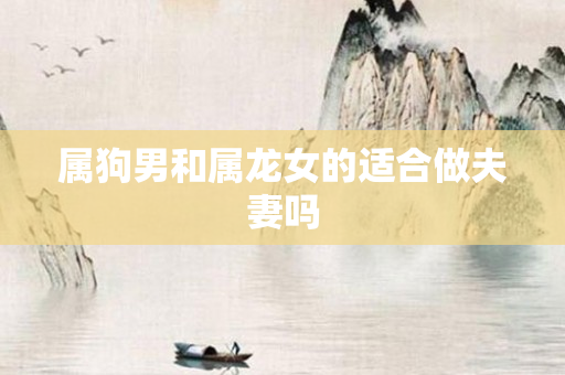 属狗男和属龙女的适合做夫妻吗