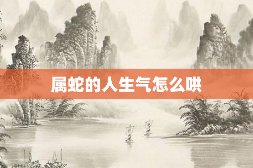属蛇的人生气怎么哄