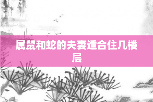 属鼠和蛇的夫妻适合住几楼层