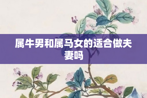 属牛男和属马女的适合做夫妻吗