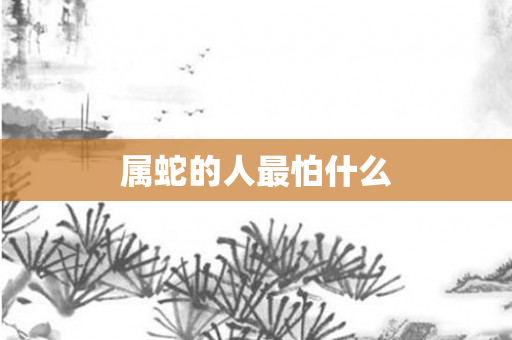 属蛇的人最怕什么