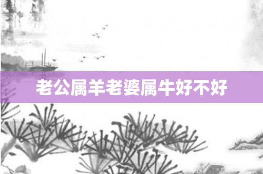 老公属羊老婆属牛好不好