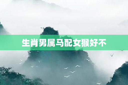 生肖男属马配女猴好不