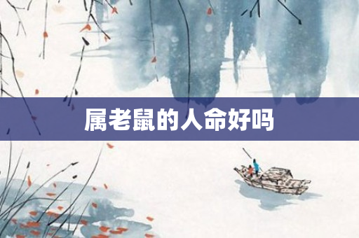 属老鼠的人命好吗