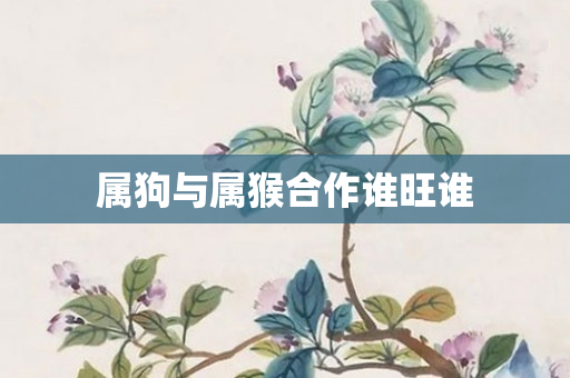 属狗与属猴合作谁旺谁