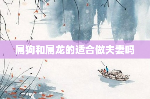 属狗和属龙的适合做夫妻吗
