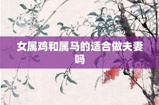女属鸡和属马的适合做夫妻吗