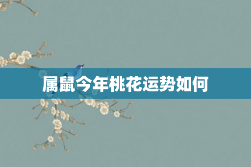 属鼠今年桃花运势如何