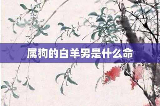 属狗的白羊男是什么命