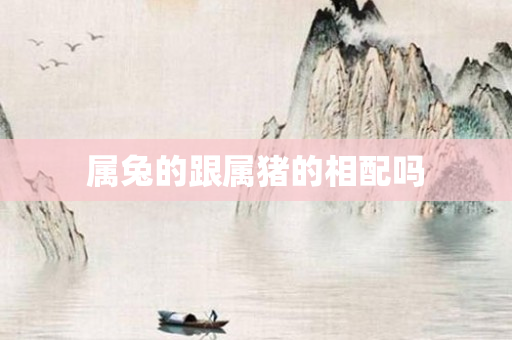 属兔的跟属猪的相配吗