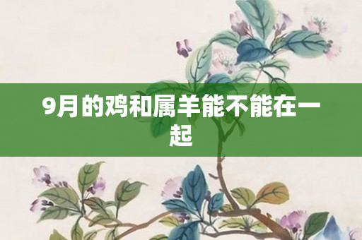 9月的鸡和属羊能不能在一起