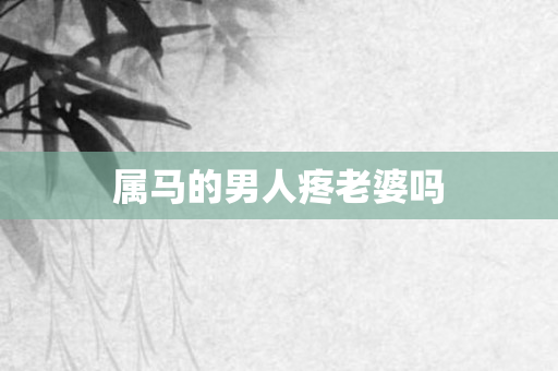 属马的男人疼老婆吗