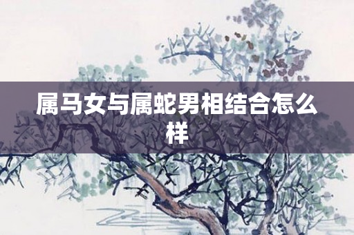 属马女与属蛇男相结合怎么样