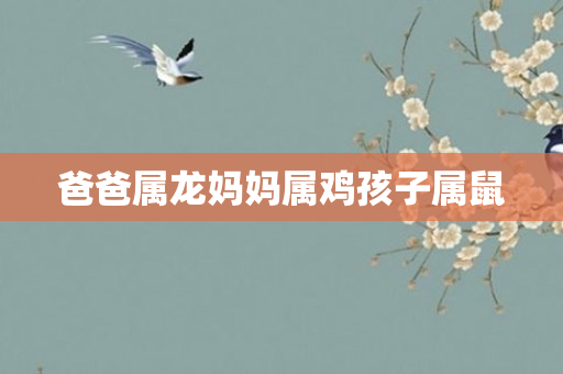爸爸属龙妈妈属鸡孩子属鼠