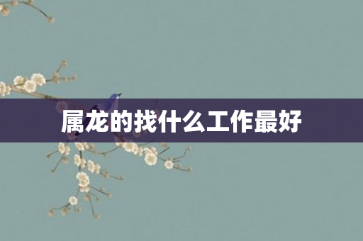 属龙的找什么工作更好