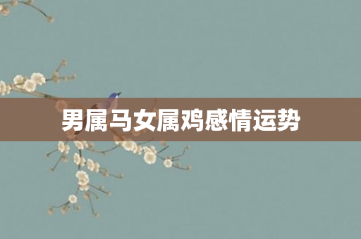 男属马女属鸡感情运势