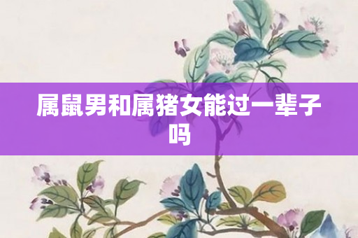 属鼠男和属猪女能过一辈子吗