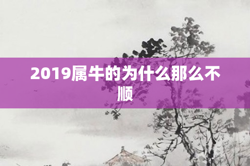 2019属牛的为什么那么不顺