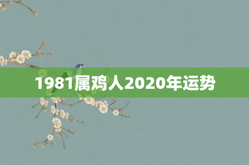 1981属鸡人2020年运势
