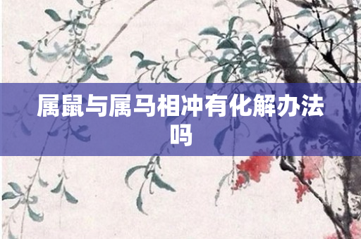 属鼠与属马相冲有化解办法吗