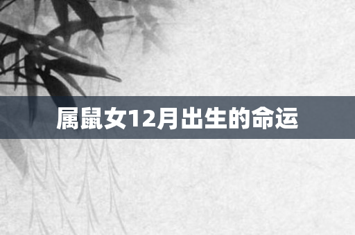 属鼠女12月出生的命运