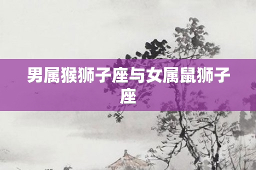 男属猴狮子座与女属鼠狮子座