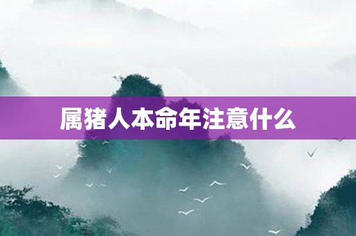 属猪人本命年注意什么