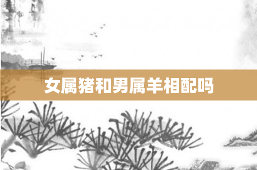 女属猪和男属羊相配吗
