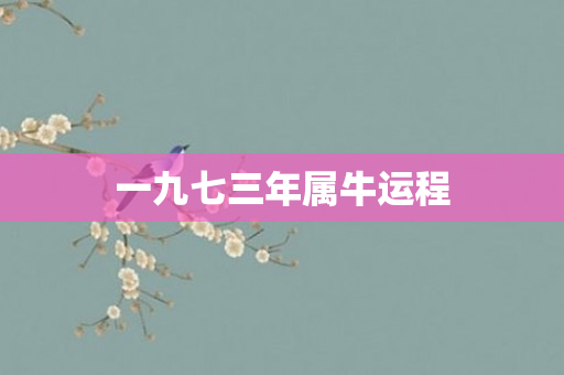 一九七三年属牛运程