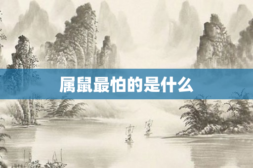 属鼠最怕的是什么