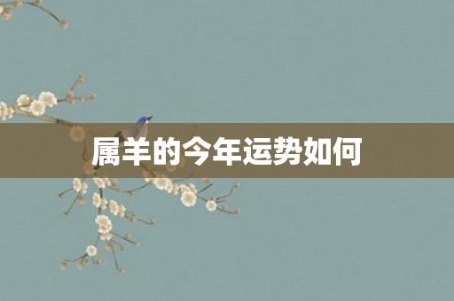 属羊的今年运势如何