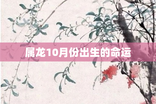 属龙10月份出生的命运