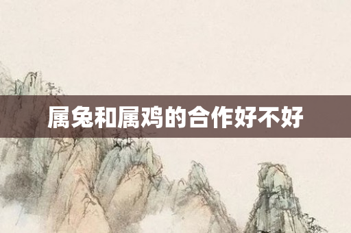 属兔和属鸡的合作好不好