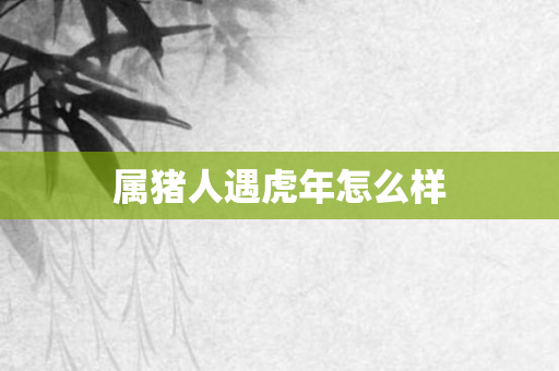 属猪人遇虎年怎么样