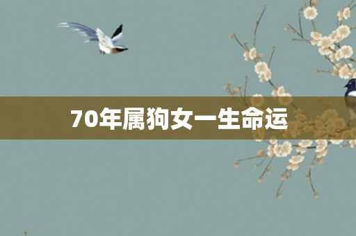 70年属狗女一生命运