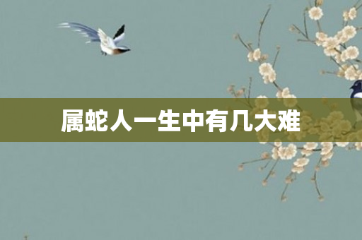 属蛇人一生中有几大难