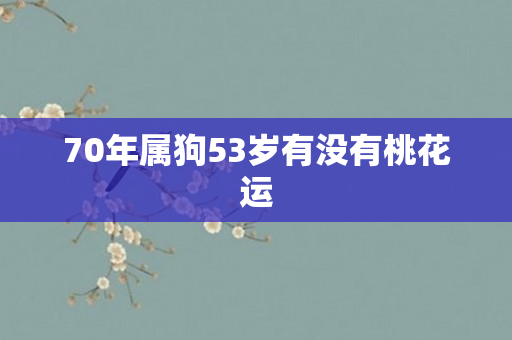 70年属狗53岁有没有桃花运