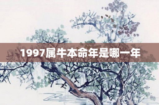 1997属牛本命年是哪一年