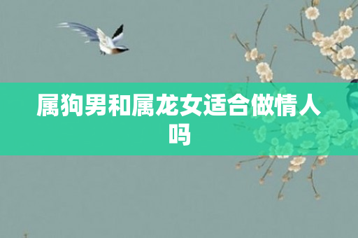 属狗男和属龙女适合做情人吗