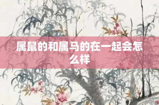 属鼠的和属马的在一起会怎么样