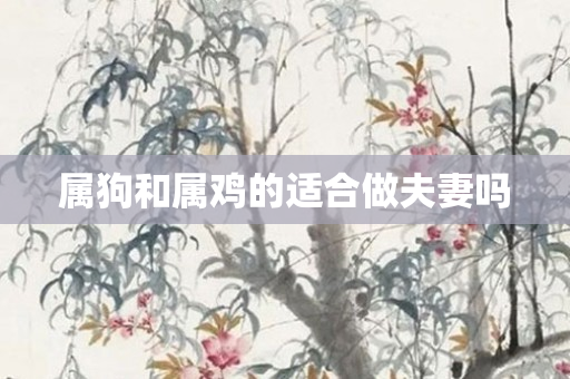 属狗和属鸡的适合做夫妻吗