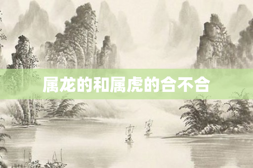 属龙的和属虎的合不合