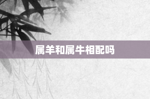 属羊和属牛相配吗