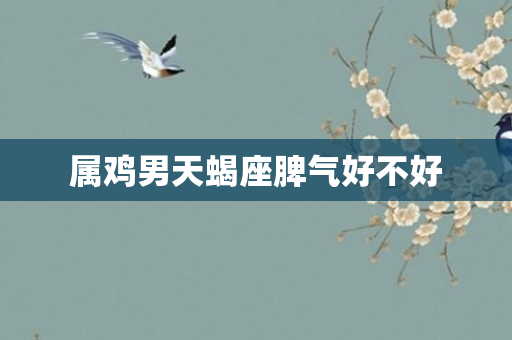 属鸡男天蝎座脾气好不好