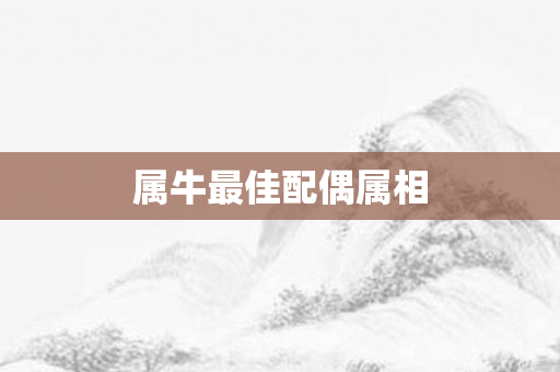 属牛更佳配偶属相