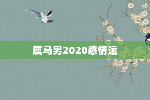 属马男2020感情运