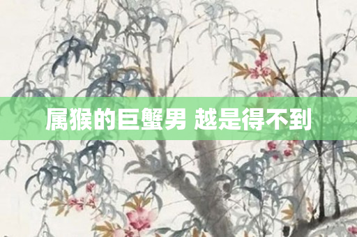 属猴的巨蟹男 越是得不到